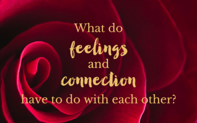 What do feelings and connection have to do with each other?