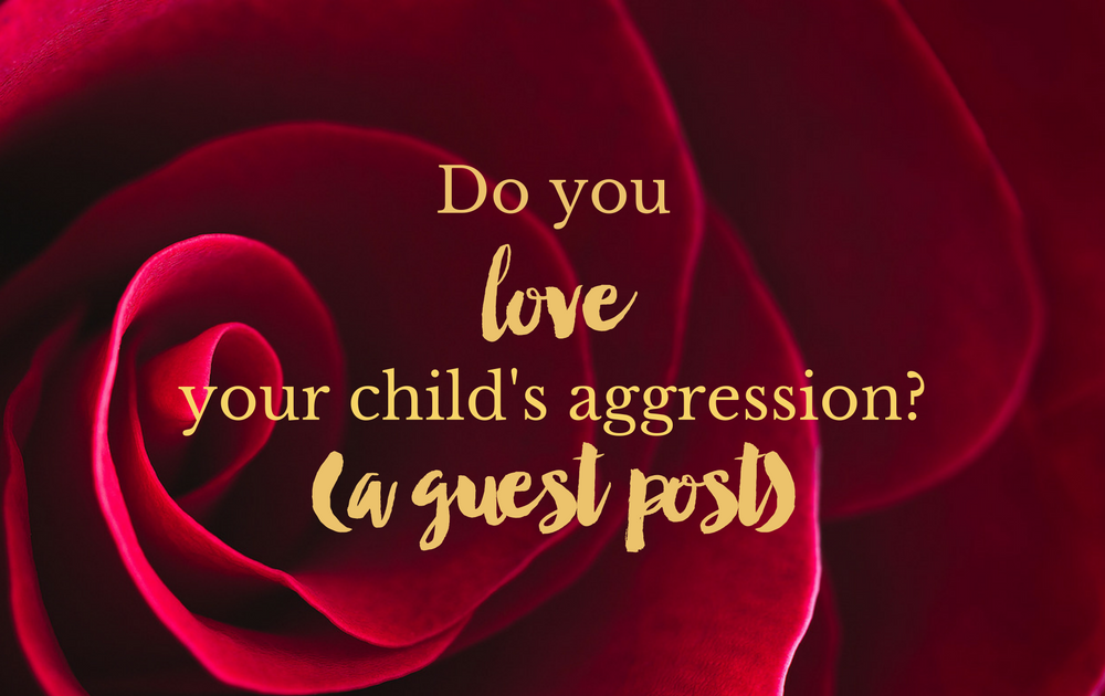 Do you love your child’s aggression? (a guest post)