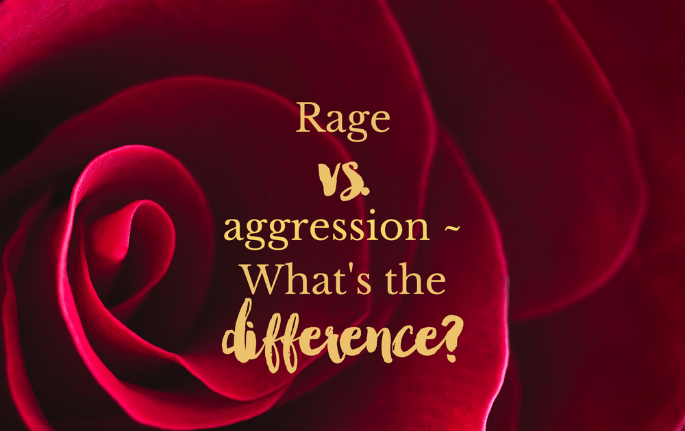 Rage vs. aggression ~ what’s the difference?
