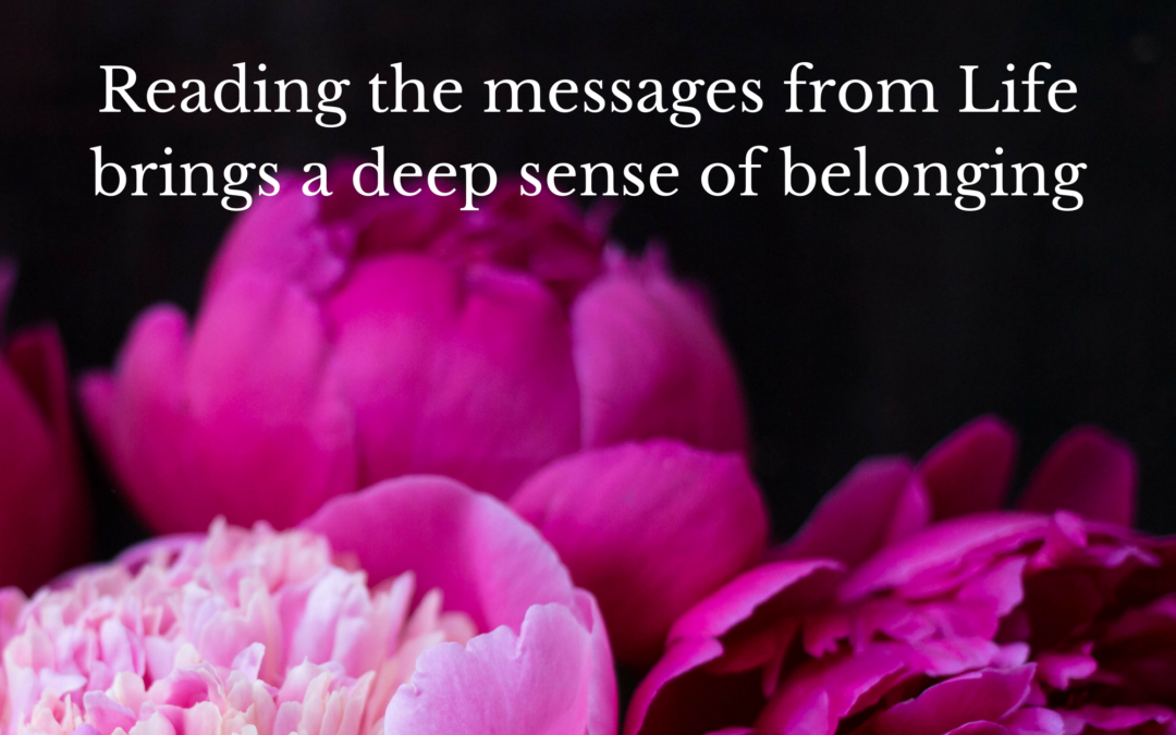Reading the messages from Life brings a deep sense of belonging