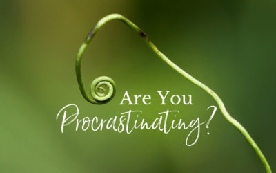 Are You Procrastinating?