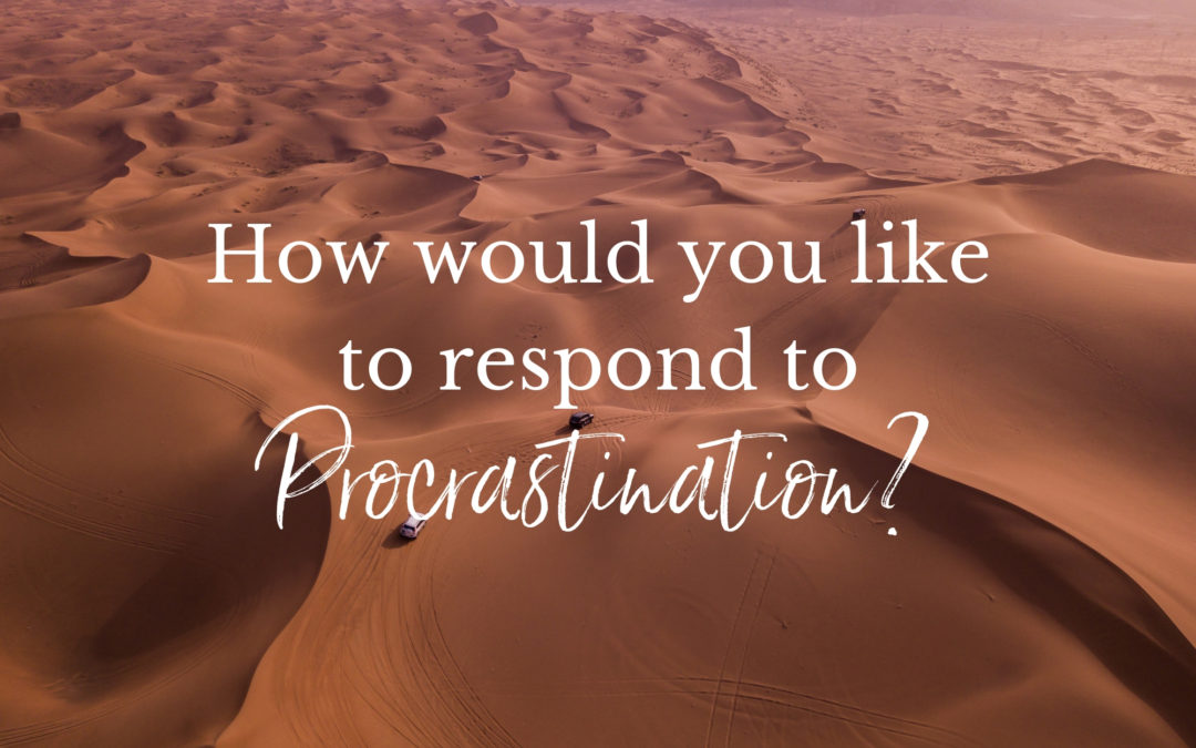 How Would You Like to Respond to Procrastination?