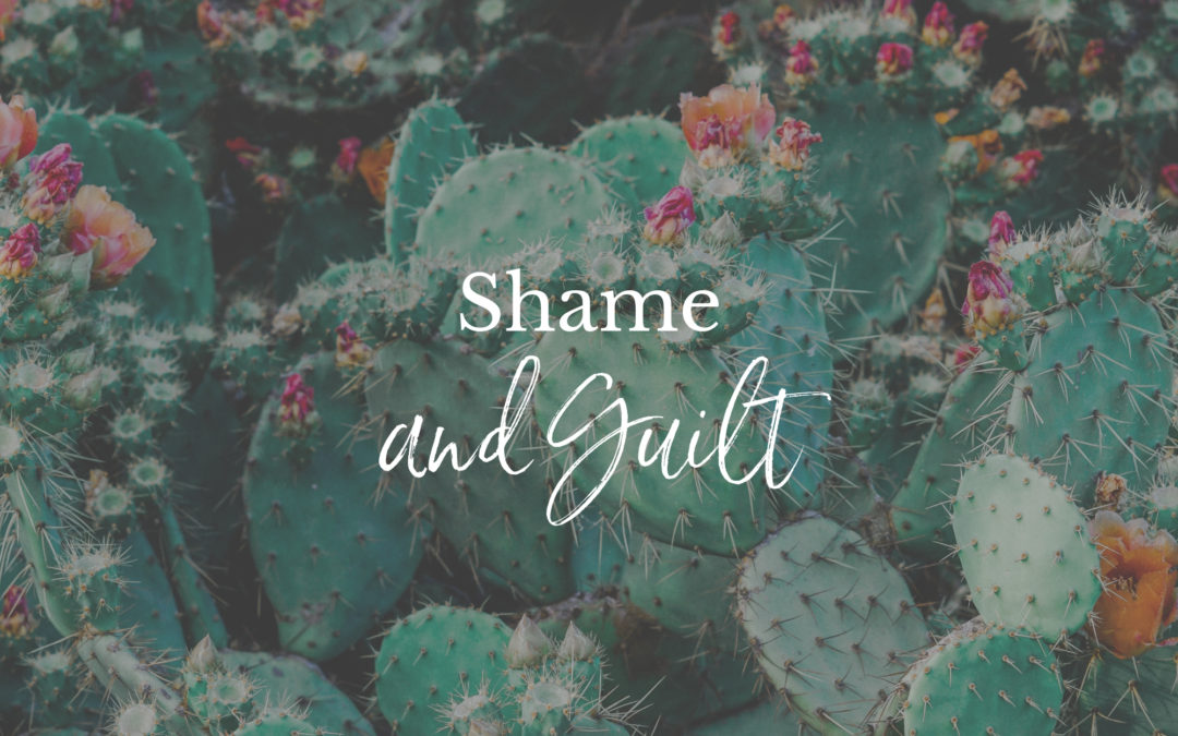 Shame and guilt