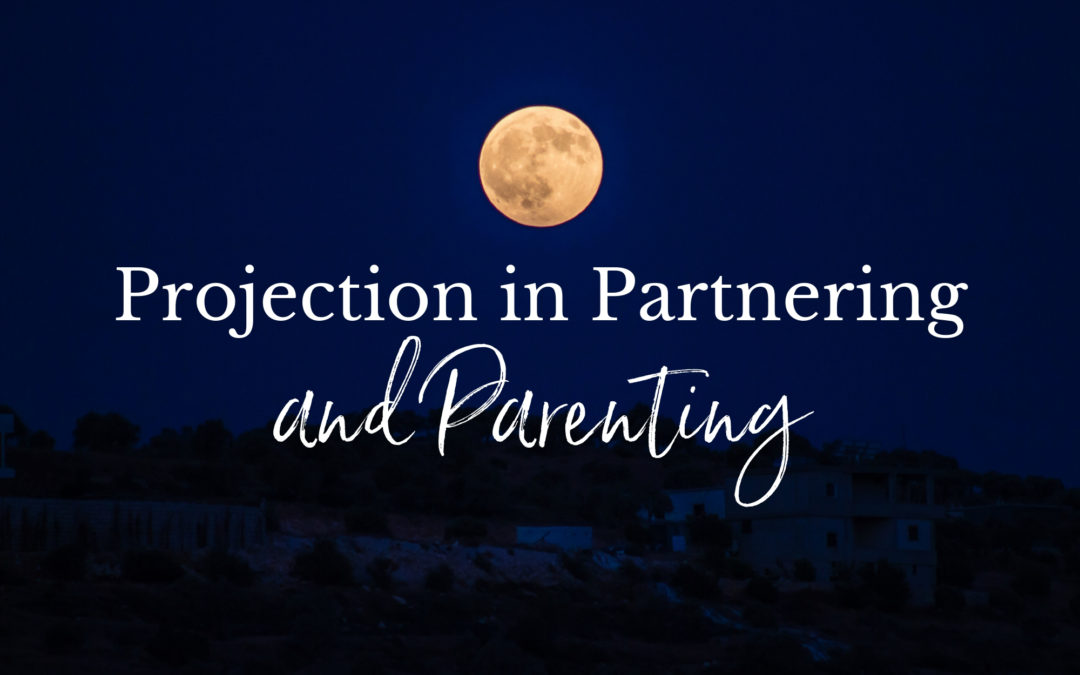 Projection in Partnering and Parenting