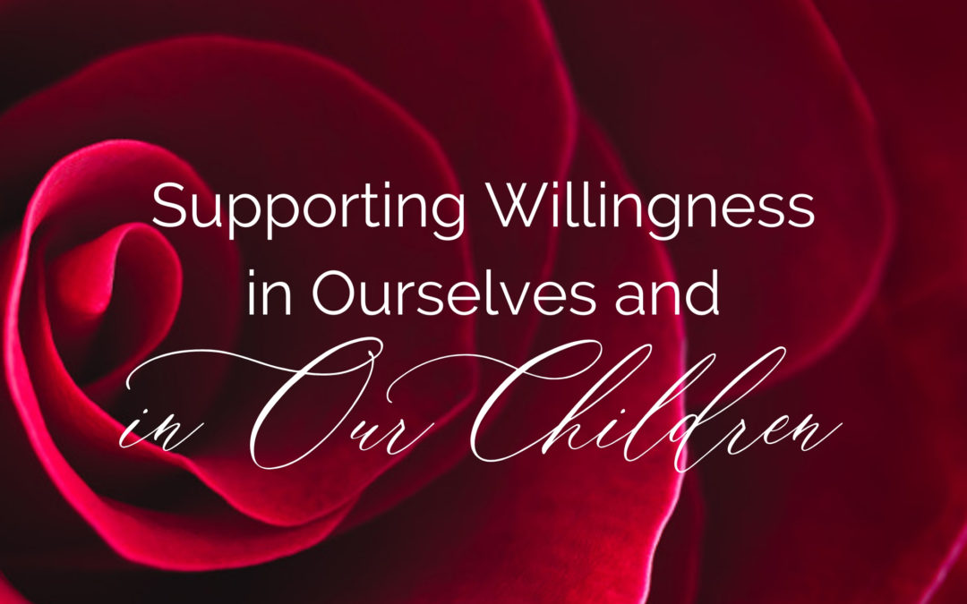 Supporting Willingness in Ourselves and in Our Children