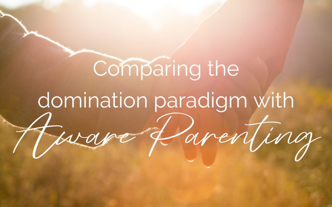 Comparing the domination paradigm with Aware Parenting