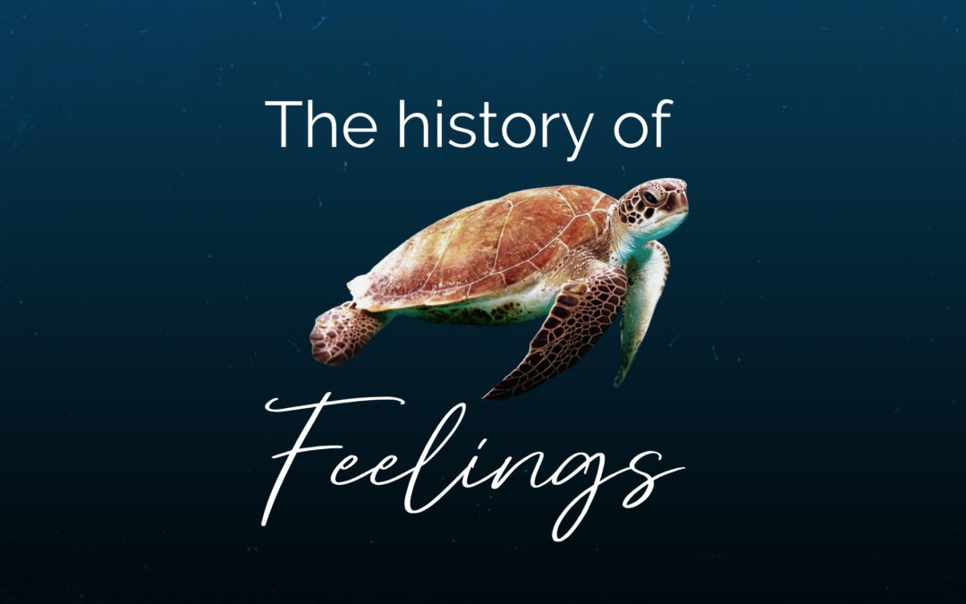 The history of feelings