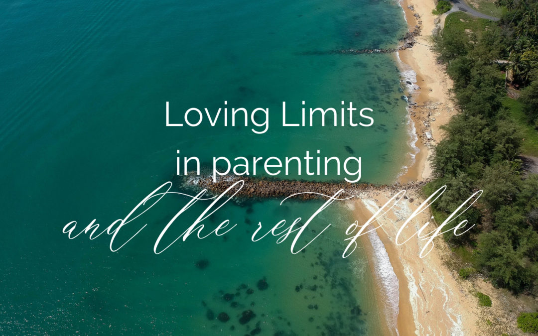 Loving Limits in parenting and the rest of life!