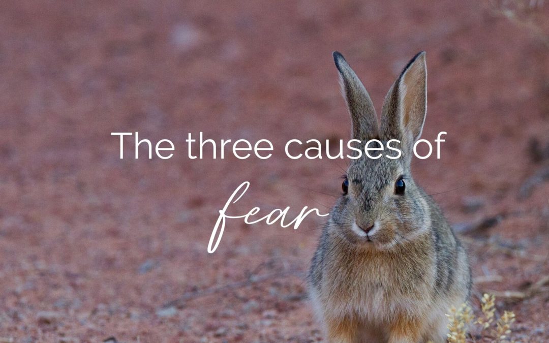 The three causes of fear