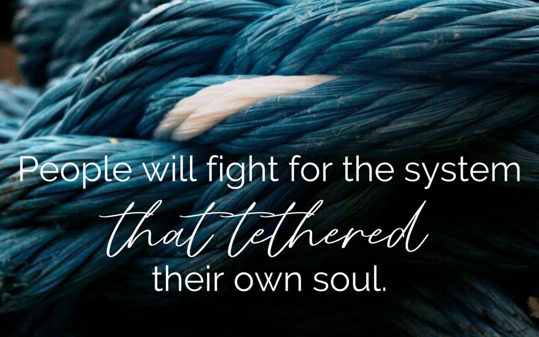 People will fight for the very system that tethered their own soul