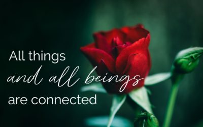 All things and beings are connected