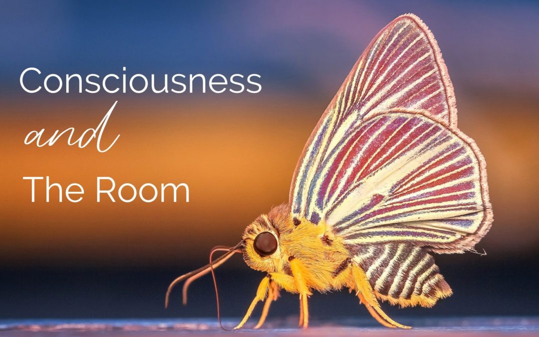 Consciousness and The Room