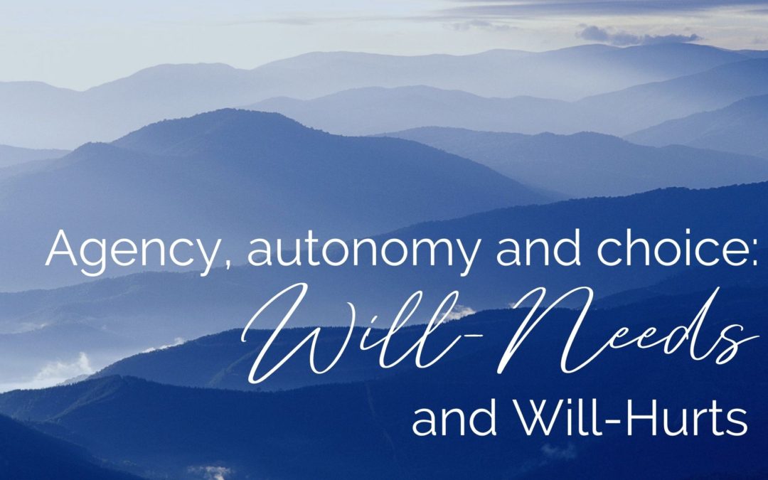 Agency, autonomy and choice: understanding Will-Needs and Will-Hurts in these powerful times