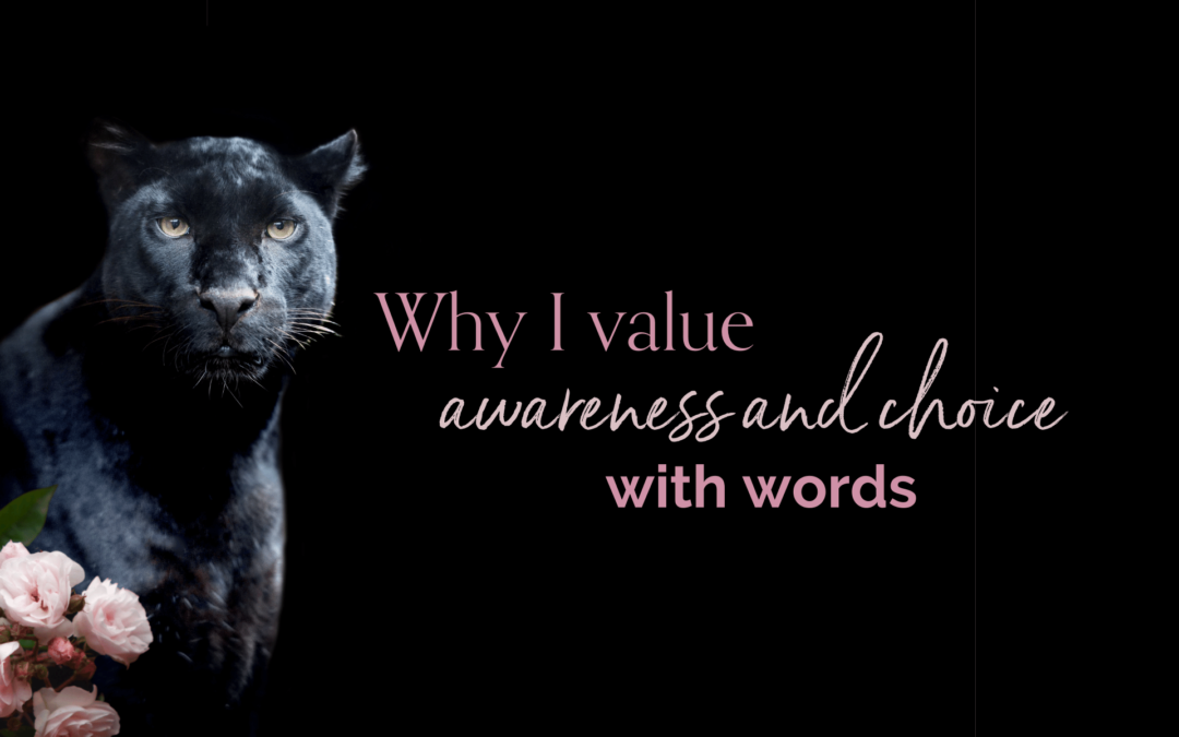Why I value awareness and choice with words