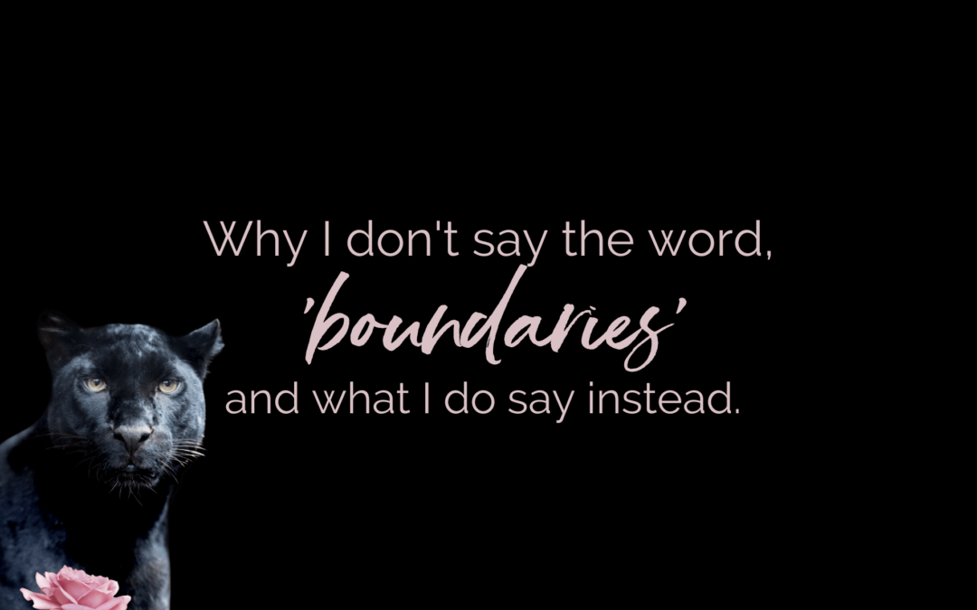 Why I don’t say, ‘boundaries’ and what I do say instead