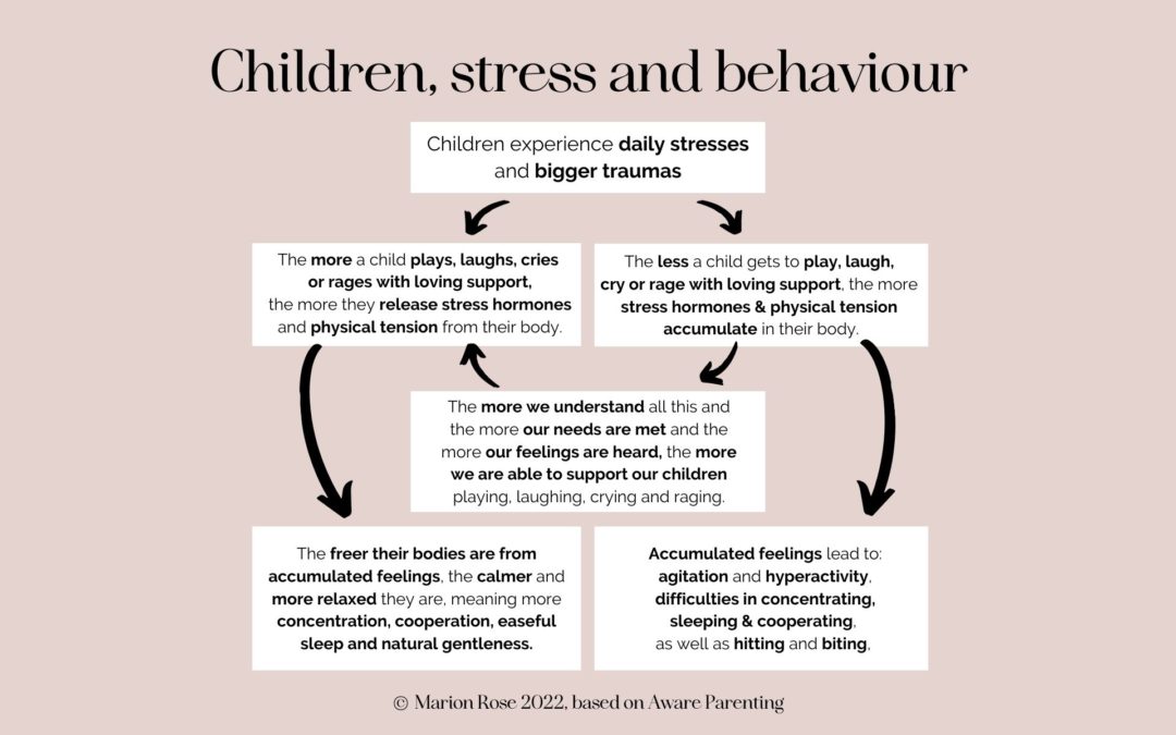 Children, stress and behaviour