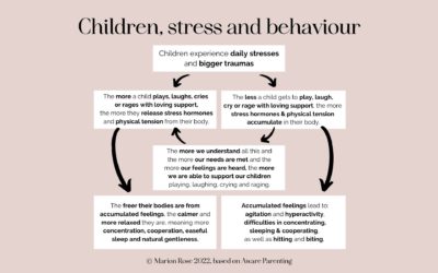 Children, stress and behaviour