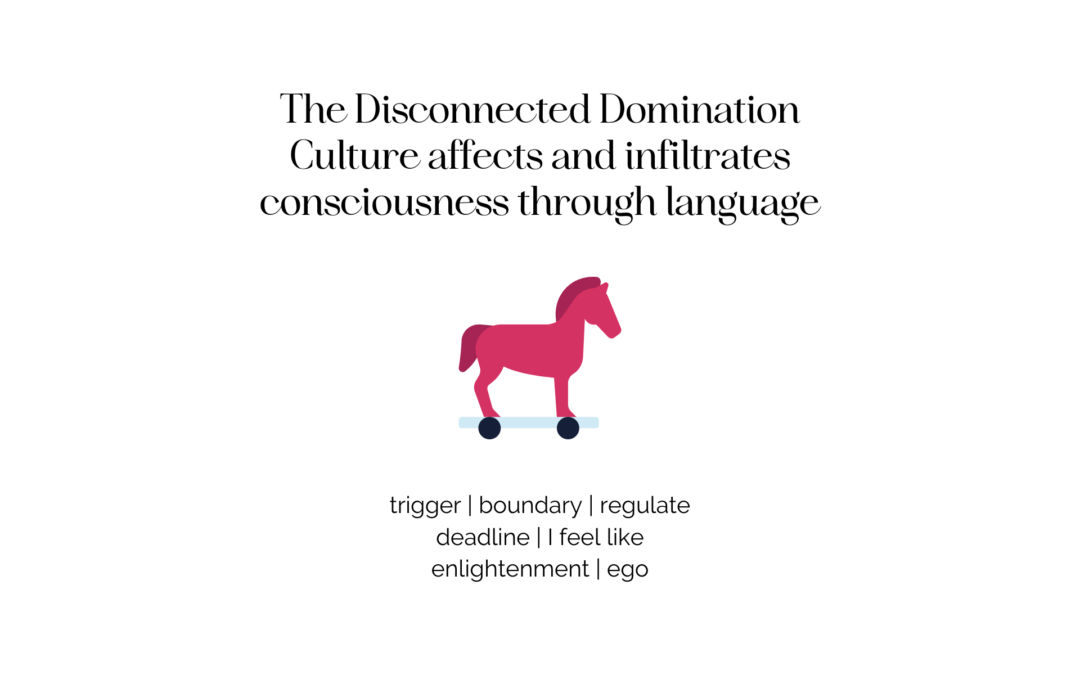 The DDC infiltrates consciousness through language