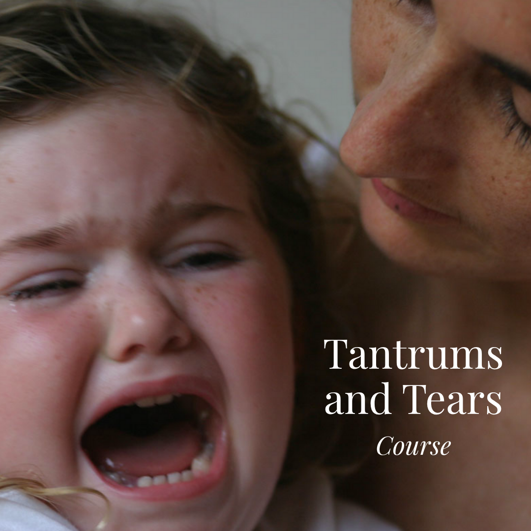 Tantrums Course website 1800 x 1800