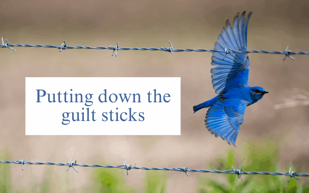 Putting down the guilt sticks