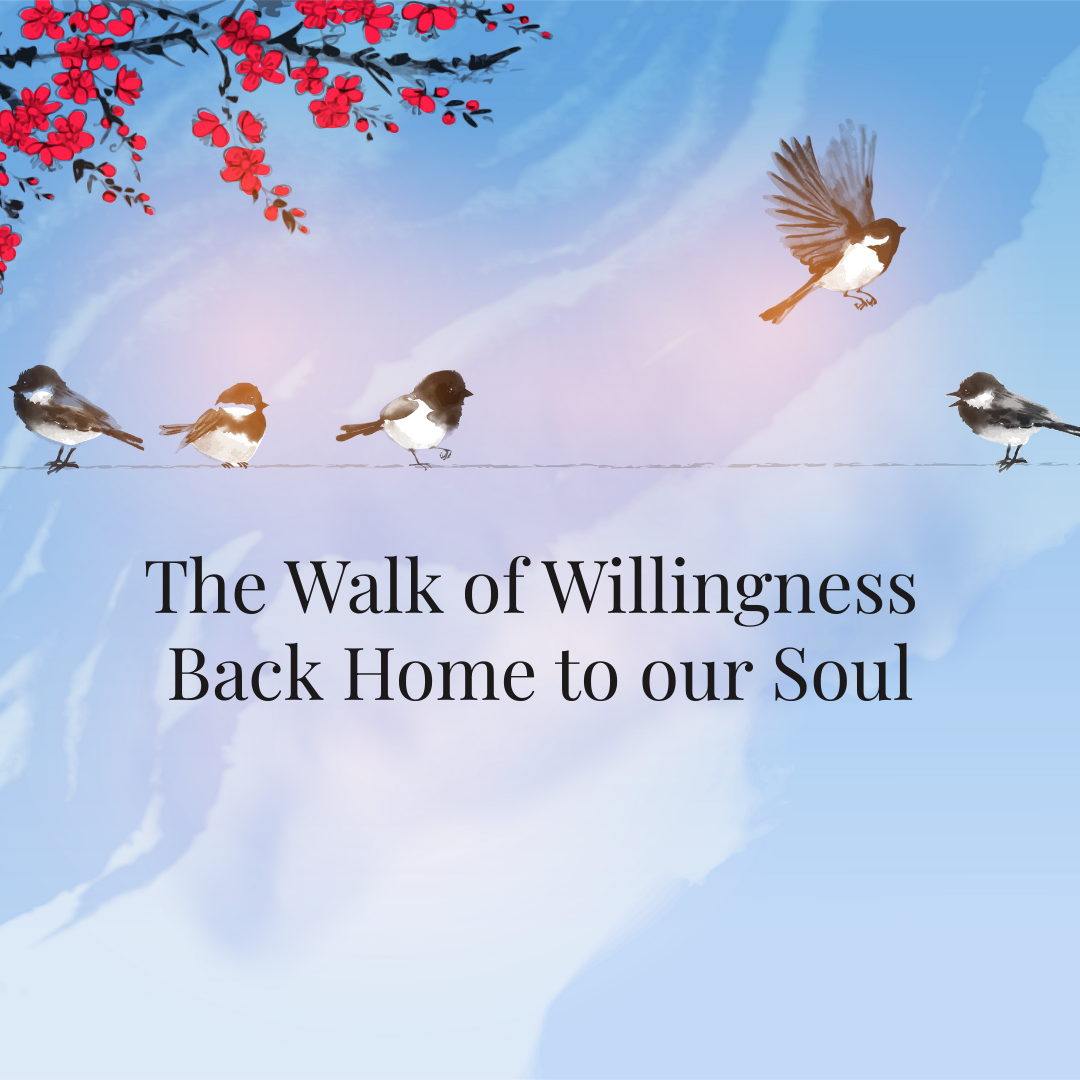 Walk of Willingness WEBSITE